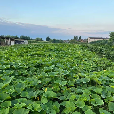 아파트 Vigna 산리베라엘