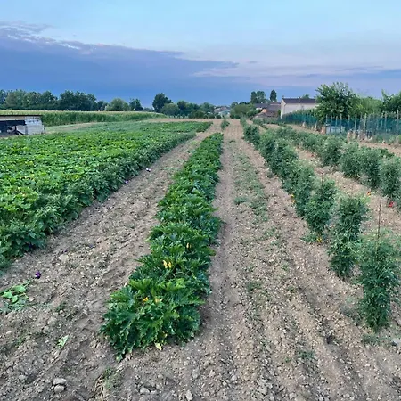 Vigna 公寓 圣利贝拉莱